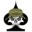 Tactical Concealment LLC logo