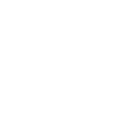 IRONWILLED logo