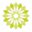 Med Spa Raleigh logo