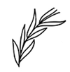 Erin Elizabeth Designs logo