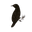 The Wishing Thorn logo