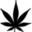Top Shelf Express logo