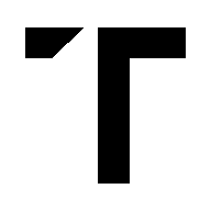 Touch of Modern logo