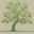 Trade Winds Fruit logo