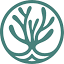 True Sea Moss logo