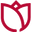 Tulip Valley Farms logo
