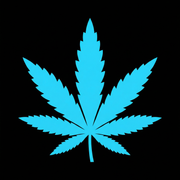 VanCity Labs logo