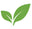WhyNotNatural logo