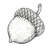 Wild Abundance logo