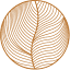 Zack and Lucy logo